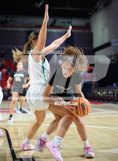Greene County Tech vs. Nettleton (NEA Tournament)