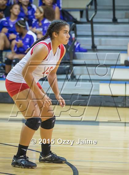 Thumbnail 2 in Judson @ Warren photogallery.