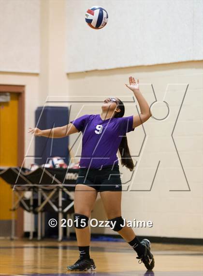 Thumbnail 2 in Judson @ Warren photogallery.