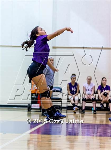 Thumbnail 2 in Judson @ Warren photogallery.