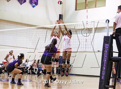 Thumbnail 1 in Judson @ Warren photogallery.