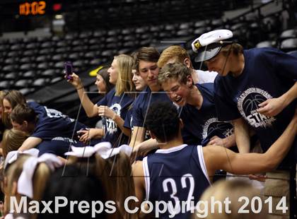 Thumbnail 2 in Shawnee Mission Northwest vs. Blue Valley North (KSHSAA 6A Playoff) photogallery.