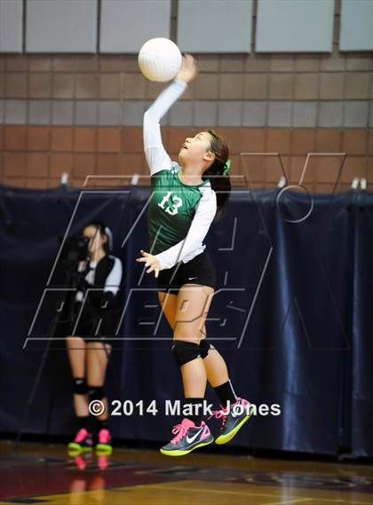 Thumbnail 3 in Basha @ Centennial photogallery.