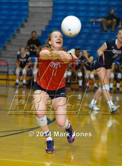 Thumbnail 2 in Basha @ Centennial photogallery.