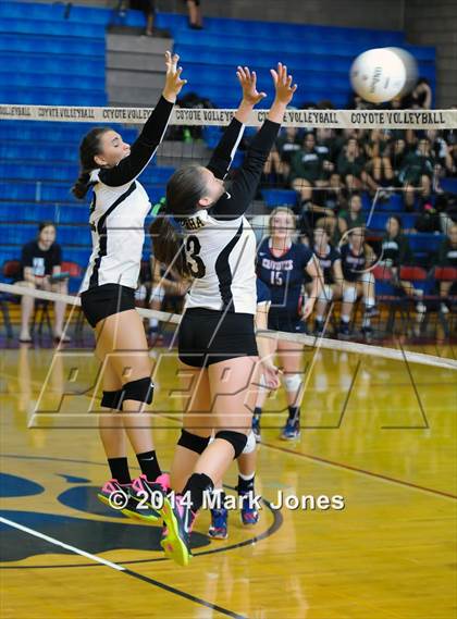 Thumbnail 1 in Basha @ Centennial photogallery.