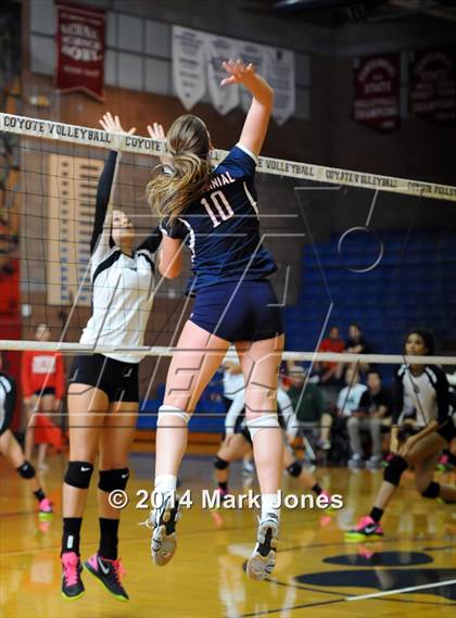 Thumbnail 3 in Basha @ Centennial photogallery.