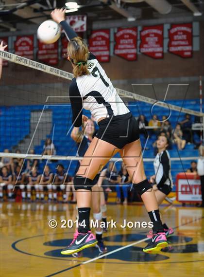 Thumbnail 3 in Basha @ Centennial photogallery.
