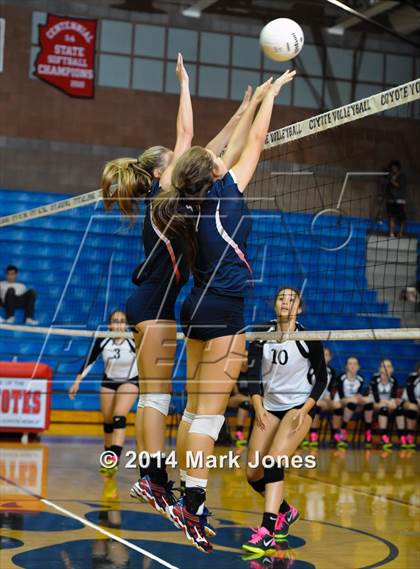 Thumbnail 1 in Basha @ Centennial photogallery.