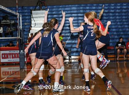 Thumbnail 2 in Basha @ Centennial photogallery.