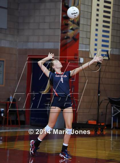 Thumbnail 3 in Basha @ Centennial photogallery.