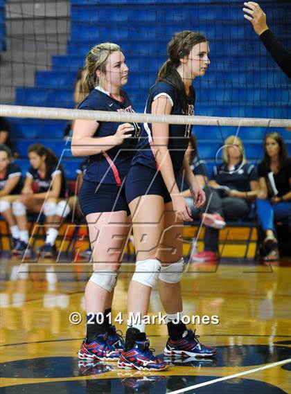 Thumbnail 3 in Basha @ Centennial photogallery.