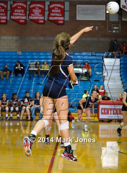Thumbnail 3 in Basha @ Centennial photogallery.