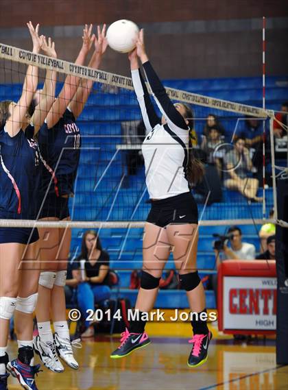Thumbnail 3 in Basha @ Centennial photogallery.