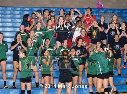 Thumbnail 2 in Basha @ Centennial photogallery.