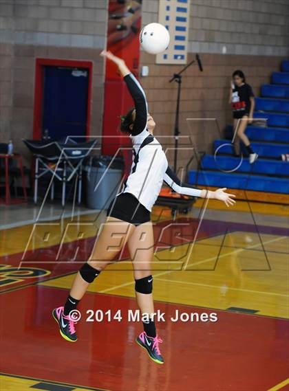 Thumbnail 3 in Basha @ Centennial photogallery.
