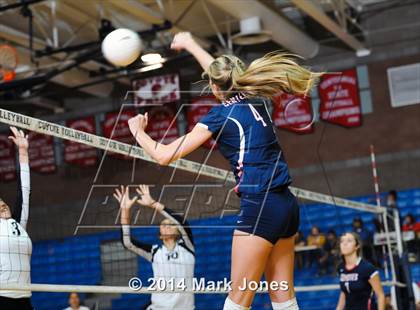 Thumbnail 3 in Basha @ Centennial photogallery.