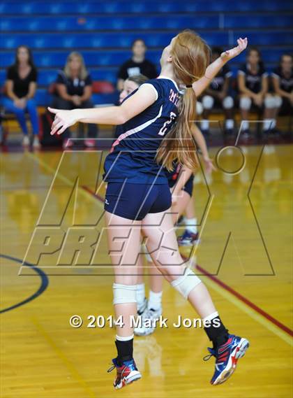 Thumbnail 2 in Basha @ Centennial photogallery.