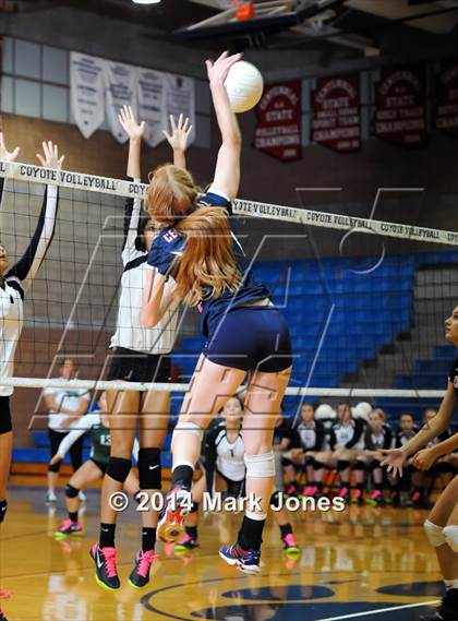 Thumbnail 2 in Basha @ Centennial photogallery.