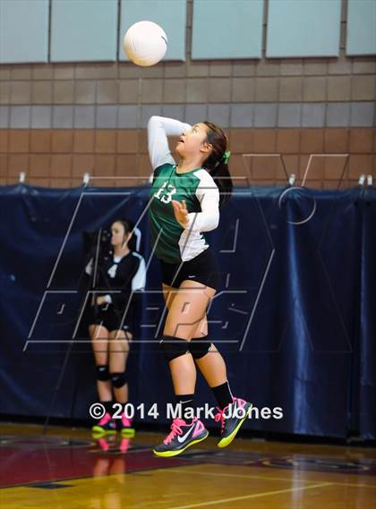 Thumbnail 1 in Basha @ Centennial photogallery.
