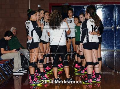 Thumbnail 1 in Basha @ Centennial photogallery.