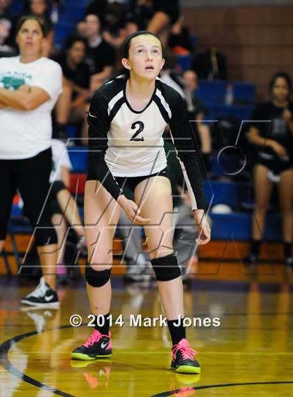 Thumbnail 2 in Basha @ Centennial photogallery.