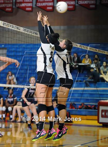 Thumbnail 2 in Basha @ Centennial photogallery.