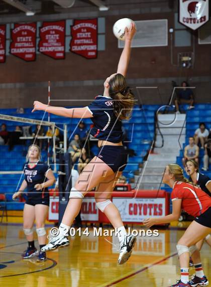 Thumbnail 3 in Basha @ Centennial photogallery.