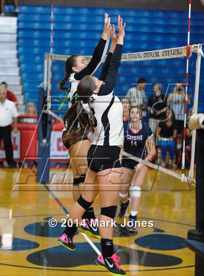 Thumbnail 3 in Basha @ Centennial photogallery.