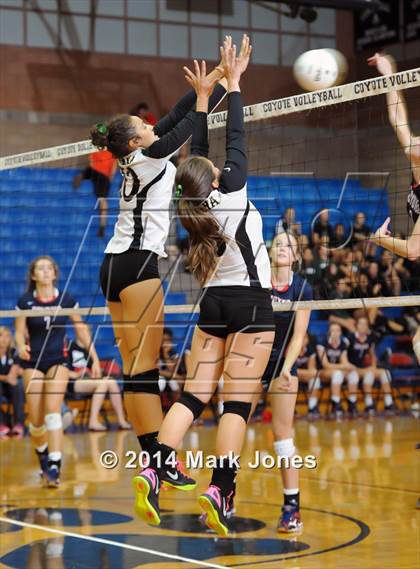 Thumbnail 3 in Basha @ Centennial photogallery.