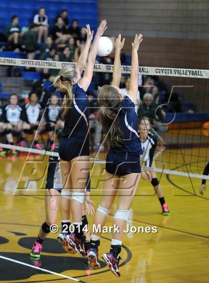 Thumbnail 1 in Basha @ Centennial photogallery.