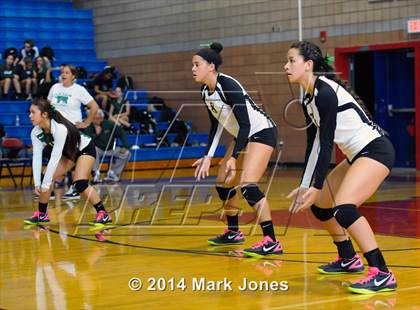 Thumbnail 2 in Basha @ Centennial photogallery.