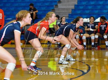 Thumbnail 3 in Basha @ Centennial photogallery.
