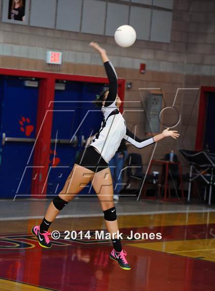 Thumbnail 1 in Basha @ Centennial photogallery.