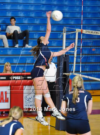 Thumbnail 1 in Basha @ Centennial photogallery.