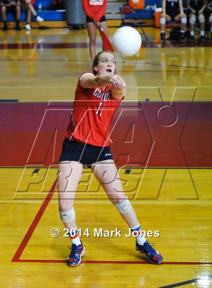 Thumbnail 2 in Basha @ Centennial photogallery.