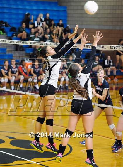 Thumbnail 2 in Basha @ Centennial photogallery.