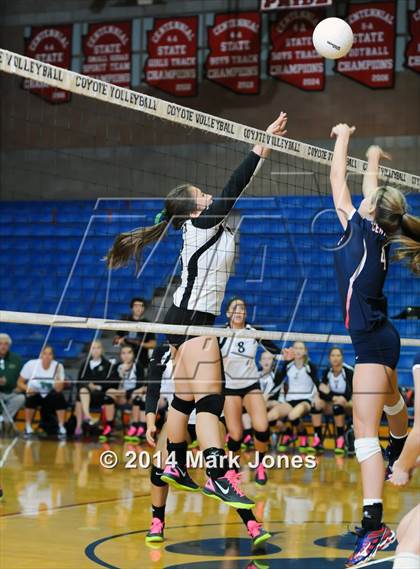 Thumbnail 2 in Basha @ Centennial photogallery.