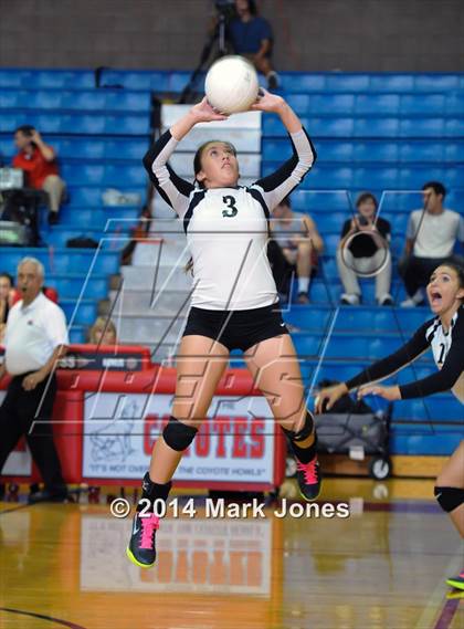 Thumbnail 2 in Basha @ Centennial photogallery.