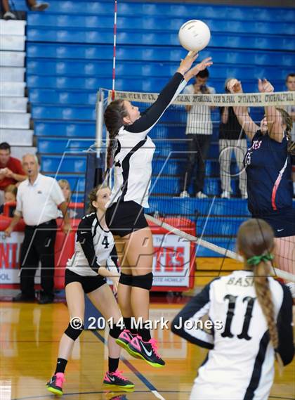 Thumbnail 3 in Basha @ Centennial photogallery.