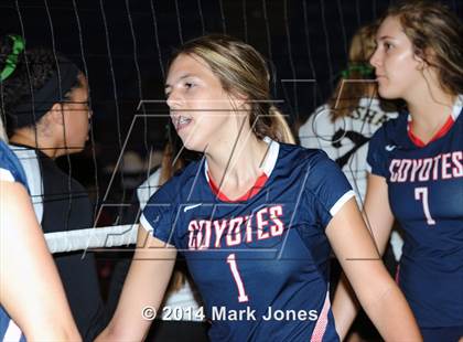 Thumbnail 2 in Basha @ Centennial photogallery.