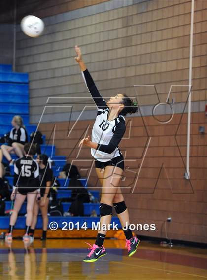 Thumbnail 3 in Basha @ Centennial photogallery.