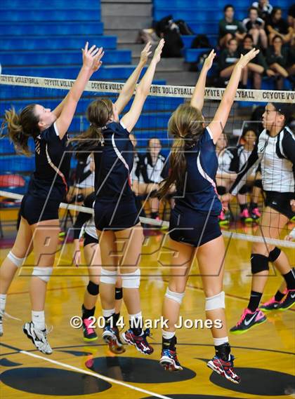 Thumbnail 1 in Basha @ Centennial photogallery.