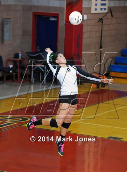 Thumbnail 2 in Basha @ Centennial photogallery.