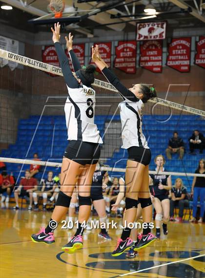 Thumbnail 2 in Basha @ Centennial photogallery.