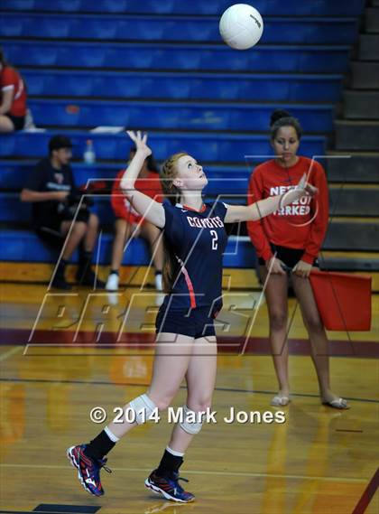 Thumbnail 2 in Basha @ Centennial photogallery.