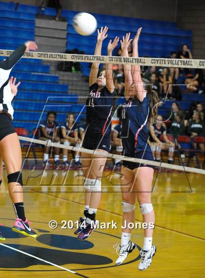 Thumbnail 2 in Basha @ Centennial photogallery.