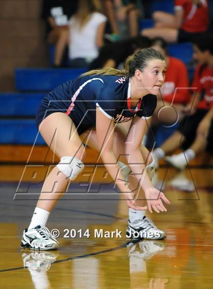 Thumbnail 1 in Basha @ Centennial photogallery.