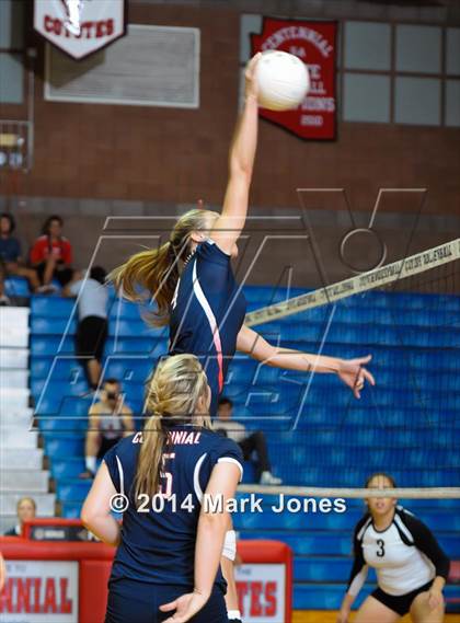 Thumbnail 1 in Basha @ Centennial photogallery.