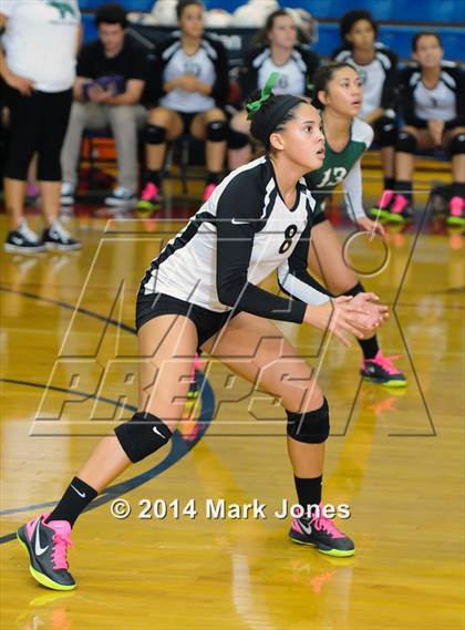 Thumbnail 2 in Basha @ Centennial photogallery.