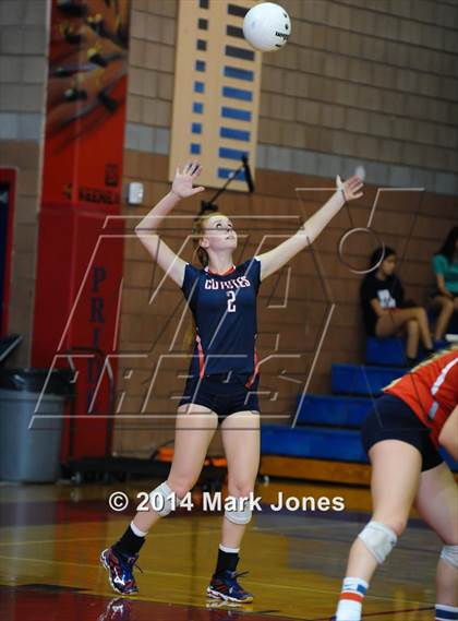 Thumbnail 3 in Basha @ Centennial photogallery.